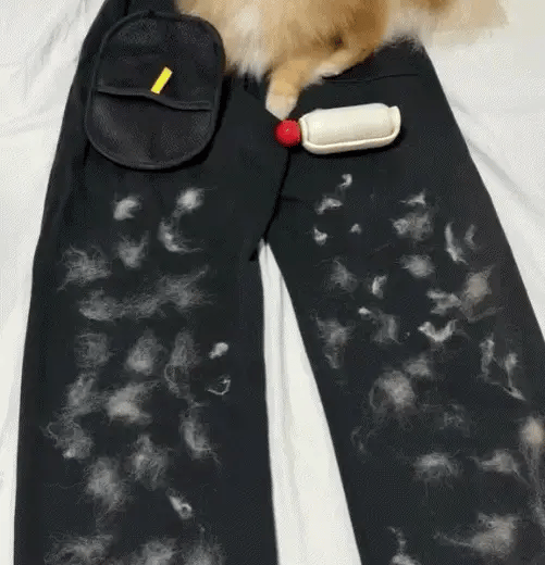 ๐พ Pet Hair Remover Glove โ Easy Grooming for Dogs & Cats